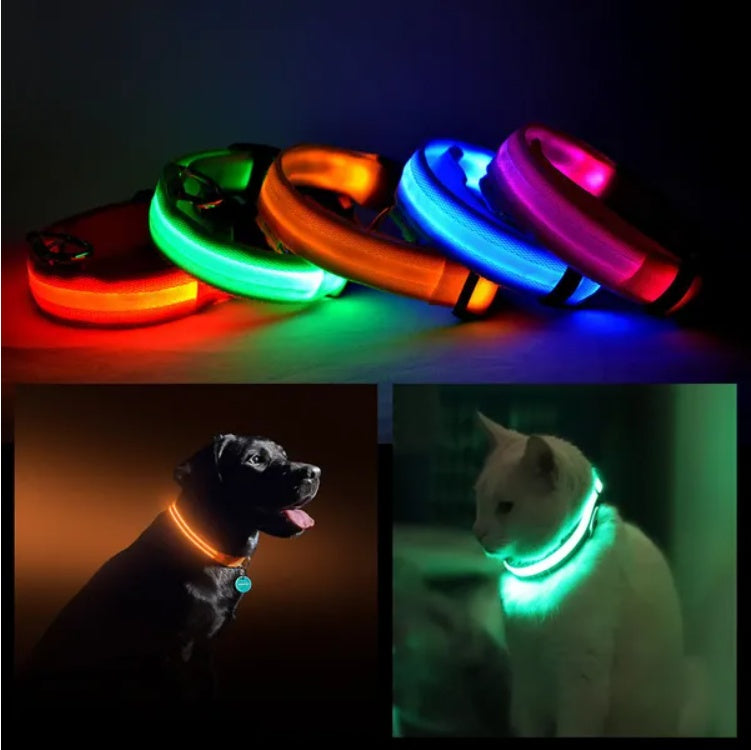 LED Pet Safety Collar – Glow in the Dark Dog & Cat Collar for Night Walking