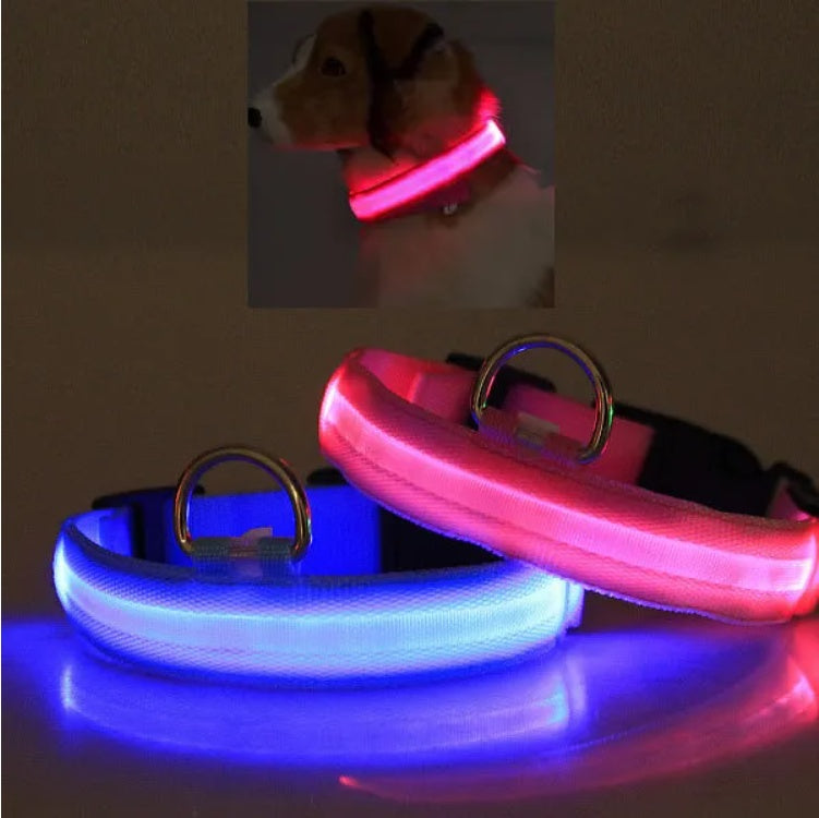 LED Pet Safety Collar – Glow in the Dark Dog & Cat Collar for Night Walking